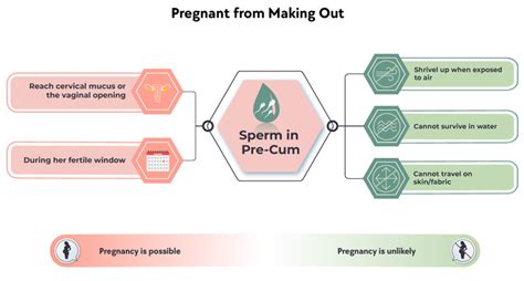 splash pregnancy odds|Pregnancies Without Sex Are Rare But Possible: Here Is Why .